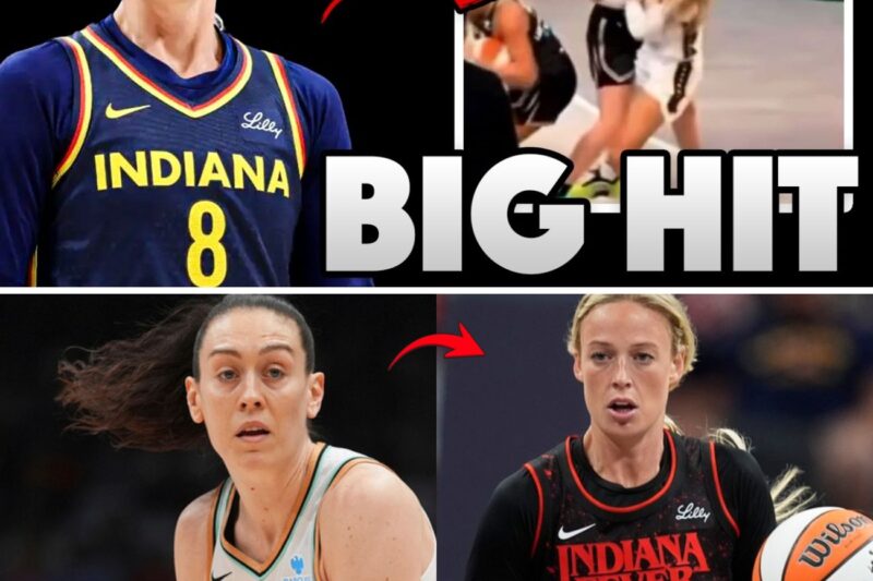 The Screen Heard ‘Round the WNBA: Was Breanna Stewart’s Hit on Sophie Cunningham a Cheap Shot or Just Hard-Nosed Basketball?
