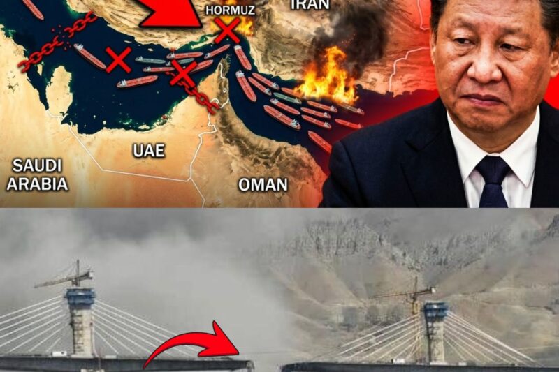 China’s Iran Bridge Is Gone! Xi Jinping Become POWERLESS as Hundreds of Tankers Stuck in Hormuz