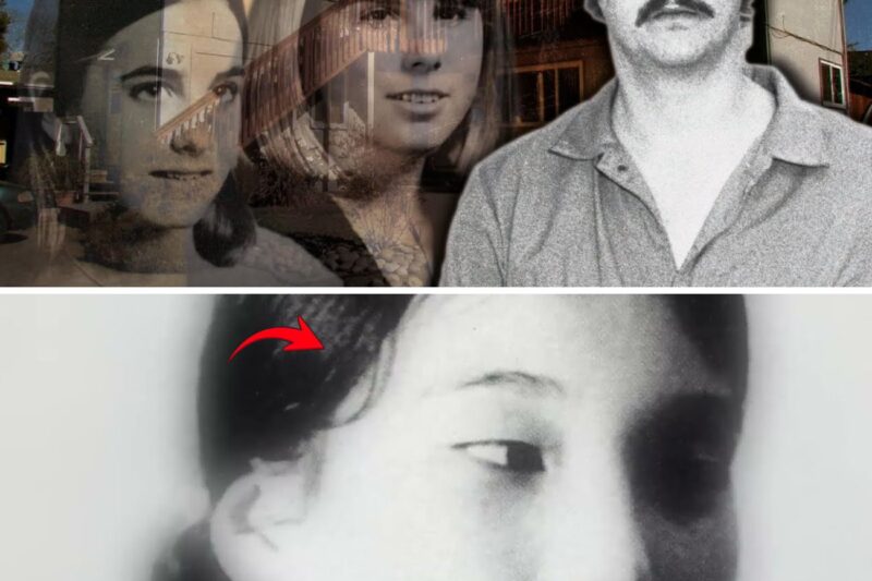 The Gentle Giant’s Dark Secret: How the Co-Ed Killer Hid in Plain Sight and Paralyzed a Seaside Paradise