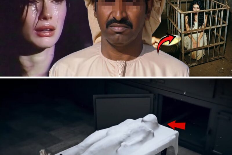 GIRLS WHO BECAME SHEIKHS’ SLAVES ! Collection of Terrible Criminal Cases About Models in Dubai 