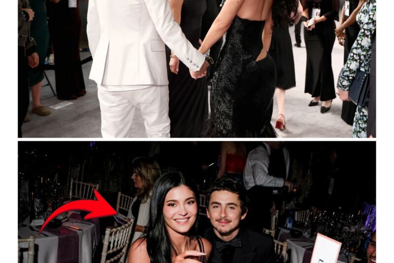 Kylie Jenner’s sibling demands fans ‘leave Timothee Chalamet alone!’ after rumors of fling with adult entertainer