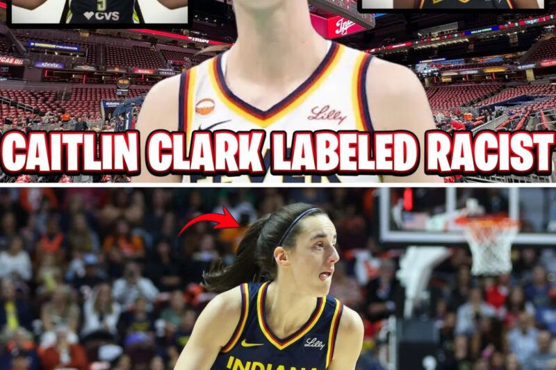 The Unrelenting Spotlight: How a USA Network Promo and a Concert Backlash Ignited the WNBA’s Biggest Media Firestorm