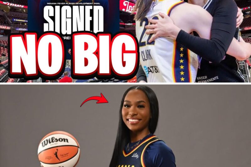 The South Carolina Takeover: How the Indiana Fever’s Latest Roster Move Ignited a Fan Civil War and Sabotage Theories