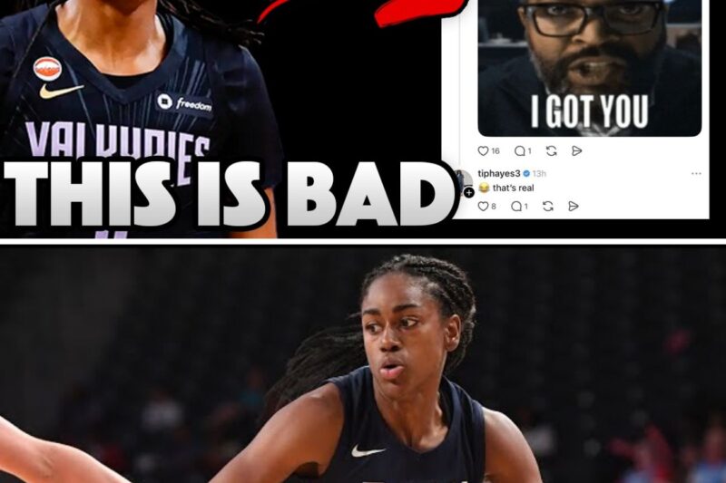 The Breaking Point of Sportsmanship: Inside Tiffany Hayes’ Digital Firestorm, the Threat of Violence Against Caitlin Clark, and the WNBA’s Looming Accountability Crisis