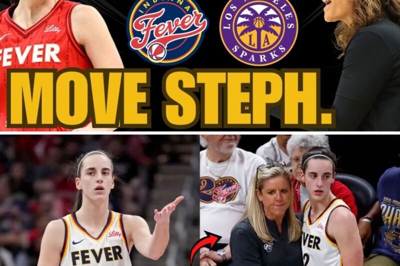 Breaking Point in Indiana: Stephanie White Faces “Do-or-Die” Moment as Fever Prepare for Sparks Showdown Amidst Internal Frustration