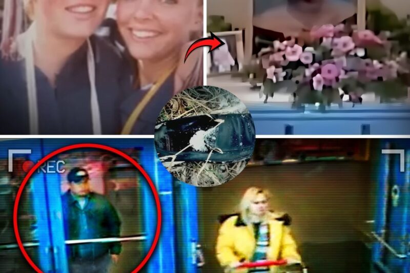 Girl Goes Missing — 3 Days Later, Cops See This On Camera | The Case of Dru Sjodin