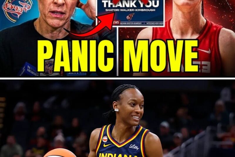 The Fever Implosion: Inside the Shatori Walker-Kimbrough Release, League Injunctions, and the Caitlin Clark Injury Scandal