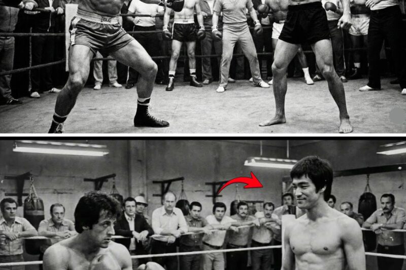 Bruce Lee Was In Ring When Sylvester Stallone Said ‘I’m Better At Boxing’ — Bruce Won Without Punch
