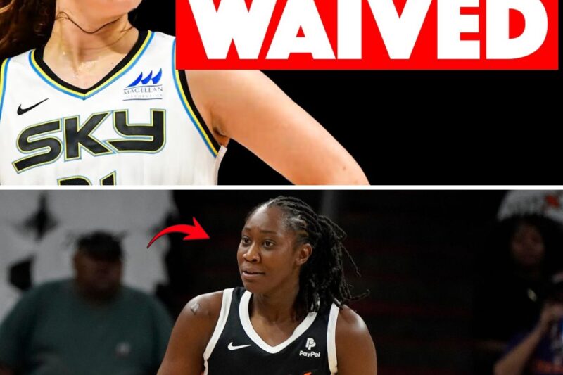 The Chicago Sky’s Shocking Roster Purge: Why Management is Trashing the Future to Build the WNBA’s Oldest Retirement Home