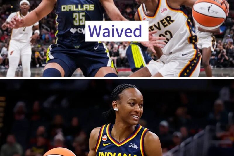 The Anatomy of a Roster Reset: Evaluating the Indiana Fever’s High-Stakes Decision to Waive Shatori Walker-Kimbrough