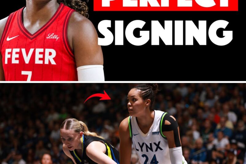 WNBA D-Day Roster Bloodbath: Why the Indiana Fever Are Risking ‘Malpractice’ by Ignoring the Perfect Triple-Threat of New Free Agents