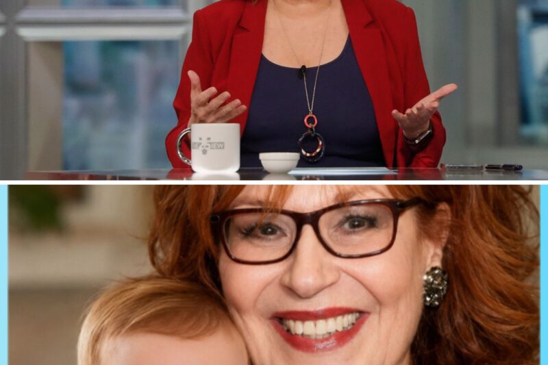 Joy Behar Becomes a Grandmother Again – The View Star Celebrates Heartwarming Family News That’s Melting Hearts Everywhere!