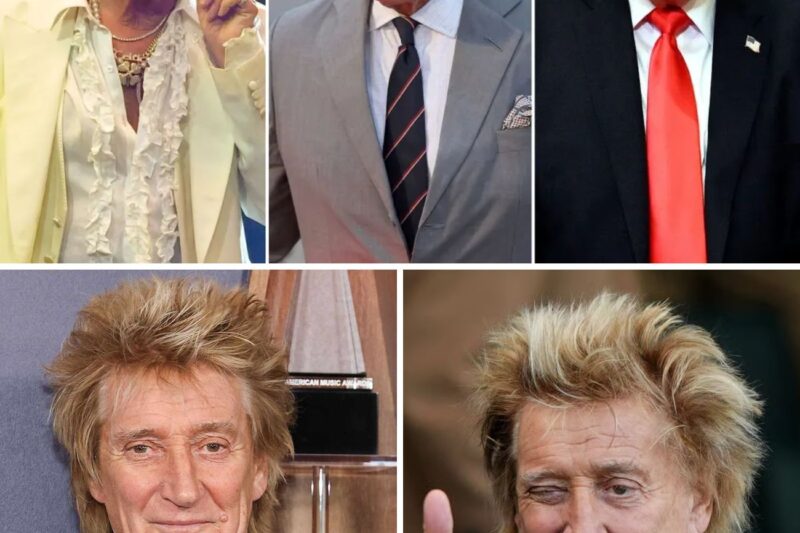 Rod Stewart Slams Trump as a “Ratbag” While Praising King Charles’s US Visit