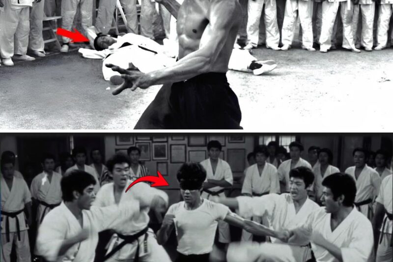 Bruce Lee Was Blindfolded When 3 Black Belts Attacked — What Happened in 15 Seconds Became Legend 