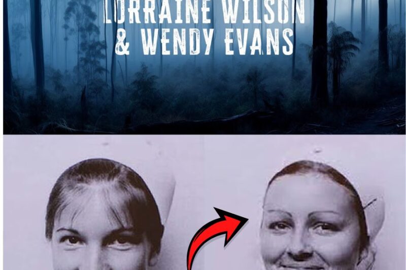 The nurses who never returned