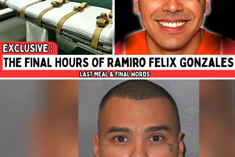 From Murderer to Kidney Donor: Ramiro Felix Gonzales’ Final Moments on Death Row (US) 