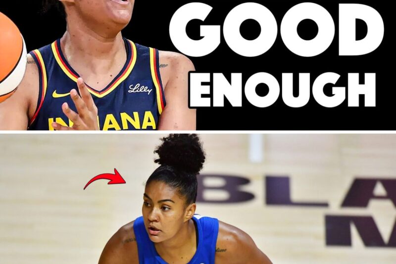 The Dantas Disaster: Why Stephanie White’s Baffling Rotations and the Fever’s “Pathetic” Bench Are Threatening to Derail the Caitlin Clark Era