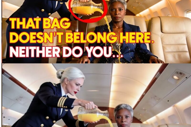 Flight Attendant Spills Drink on Black FAA Inspector — Entire Crew Fired Before Takeoff