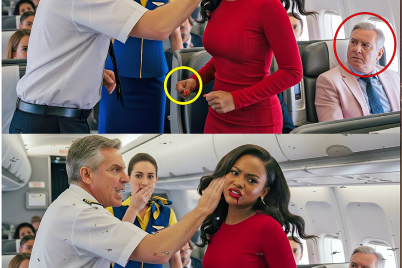 Pilot Slaps Black Girl in First-Class— Unaware She’s the Airline’s Silent Billionaire Backer…