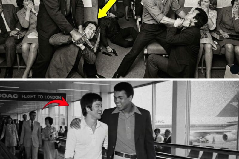 Bruce Lee Was On Hijacked Plane With Muhammad Ali And 3 Terrorists — Neutralized All In 14 Seconds 