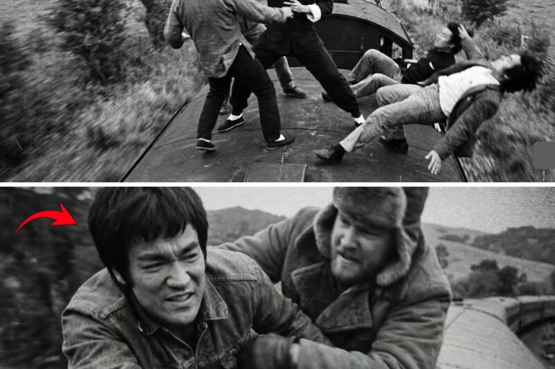 Bruce Lee Deadly Fight On Moving Train Roof 80 MPH 4 Killers Attacked 1971 — 3 Died Trying