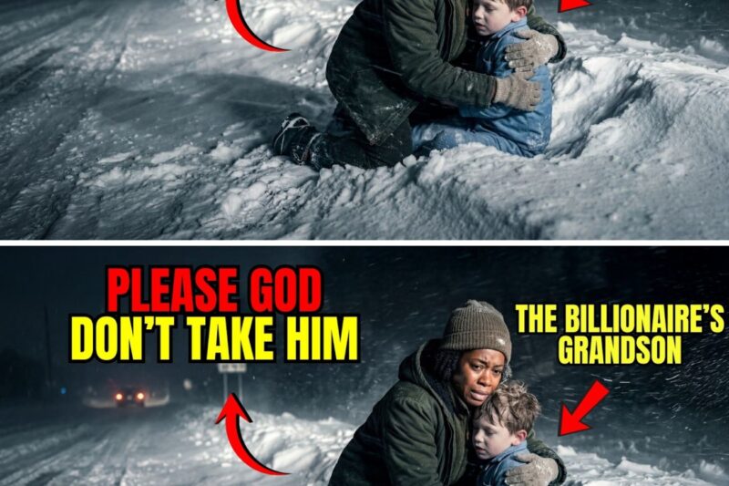 Black Woman Pulled Frozen Boy from Blizzard — Next Morning, 20 Black SUVs Parked Outside