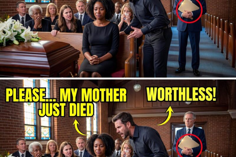 Husband Called Wife “Worthless” at Her Mother’s Funeral — Froze When Lawyer Read $100B Inheritance
