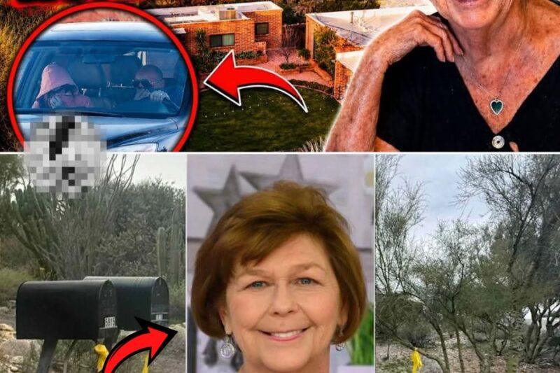 Neighbors Reach Breaking Point in Nancy Guthrie Case: HOA Sends Strong Email as Local Leaders Move to Remove Sheriff.