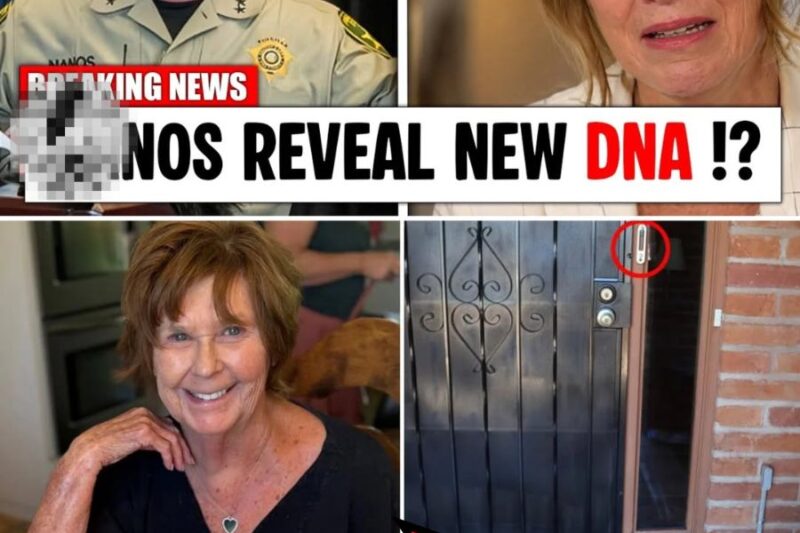 New DNA Evidence Emerges in Nancy Guthrie Case: Sheriff Nano Announces Breakthrough That Could Solve the Mystery
