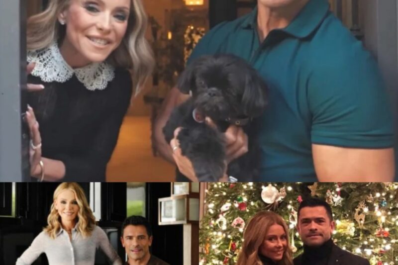 Kelly Ripa & Mark Consuelos Open Doors Into Their Luxe Residence With Children’s Personalized & Opulent Bedrooms