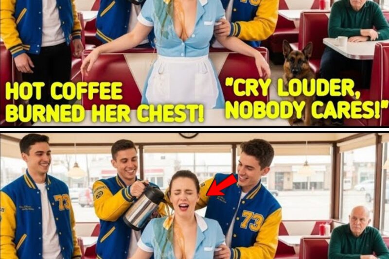 The Storm Inside the Diner: How a Retired Navy SEAL and His Combat Dog Rescued a Scalded Waitress and Defied a Trio of Cruel Bullies