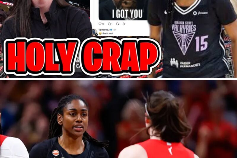 The Breaking Point of Sportsmanship: Inside Tiffany Hayes’ Digital Firestorm, the Threat of Violence Against Caitlin Clark, and the WNBA’s Looming Accountability Crisis