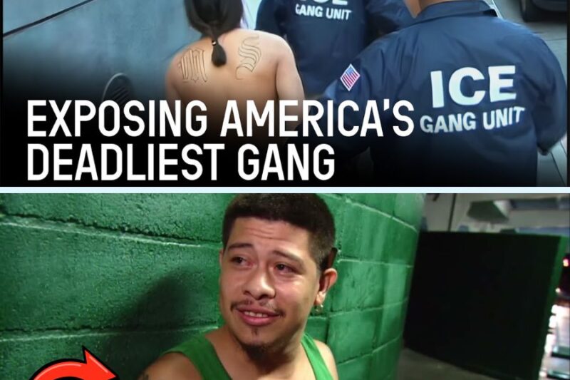 Inside MS-13 America’s Most Dangerous Gang