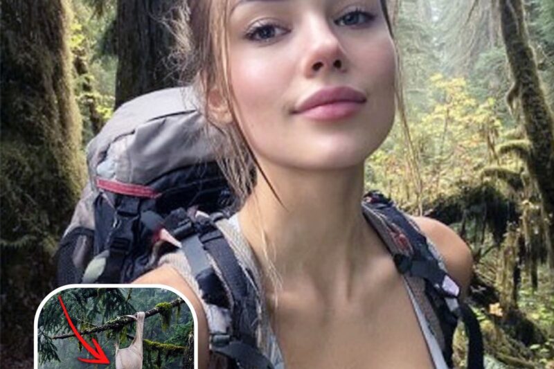 Girl Vanished In Olympic Park — A Week Later THEY FOUND THIS On A Tree. The Truth Is Dark… 
