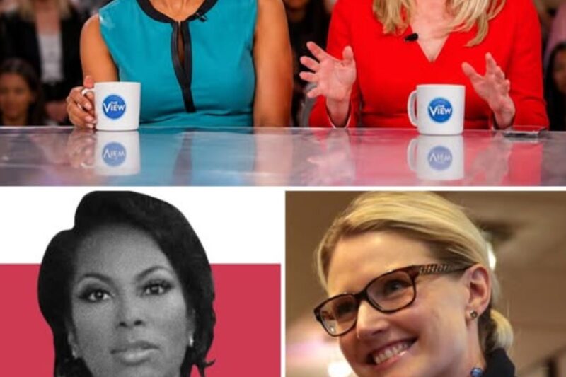 FACT CHECKED: Harris Faulkner Sets the Record Straight on Crime Stats