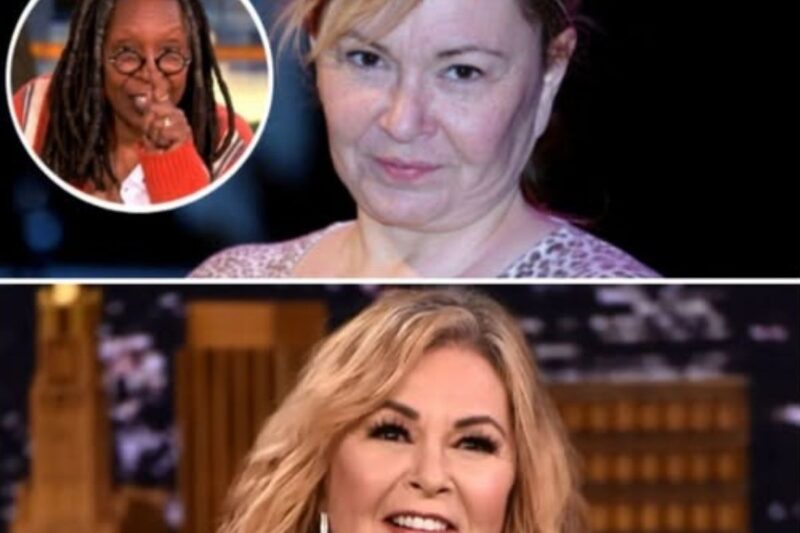 “We’re going to take down The View”: Roseanne Barr just landed a massive $50 million deal with Fox for a new show to compete with the View. Details in the comments