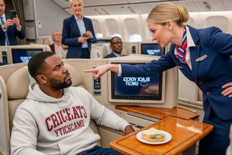 Flight Attendant Gave Moldy Food to Black CEO — Hours Later, Entire Crew Got Fired 