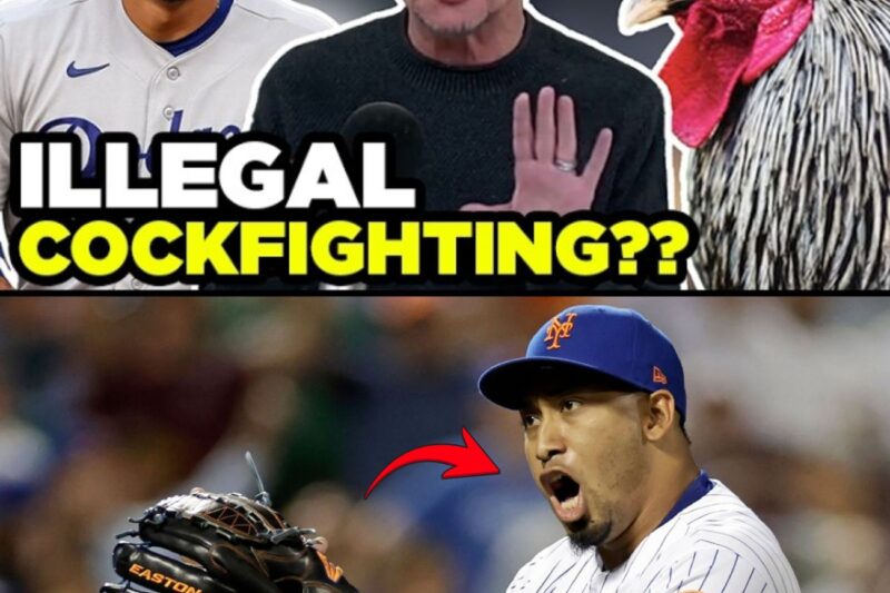 The Secret Double Life of a Baseball Star: The Disturbing Discovery That Could End Edwin Diaz’s Career