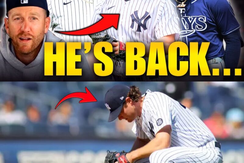 THE AMERICAN LEAGUE WARFARE: Inside the High-Stakes Roster Purges, Mechanical Transformations, and Ruthless Front-Office Strategies Defining the Yankees-Rays Clash