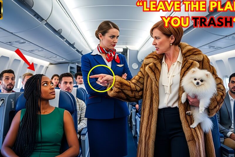 “Security! She’s Not Premium!” Flight Attendant Yells at Black Woman — Twist: She Owns the Airline