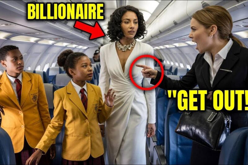 Woman Slaps Black Twins in First Class—Seconds Later, Their Mom, The Airline Boss Arrives