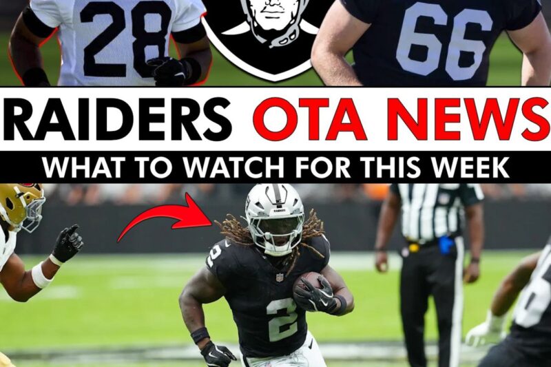 The Silver and Black Blueprint: Inside the High-Stakes Upgrades Defining the New Las Vegas Raiders