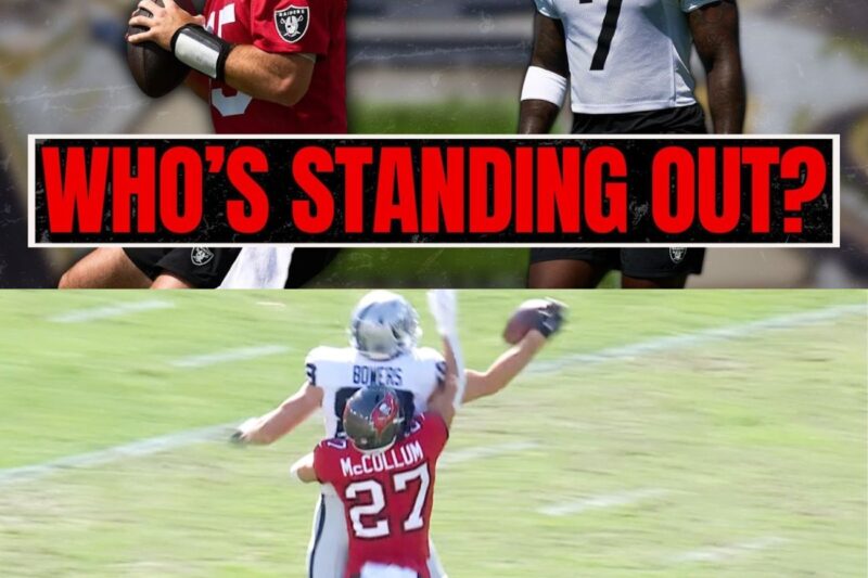 The Savage Reset: Inside the Raiders’ Toxic Legacy, Rookie Rebellion, and the Heaven-Sent Robot