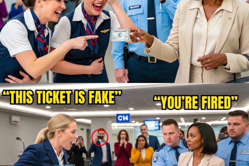 Airline Staff Ripped Black Woman’s Ticket — Then She Stunned Them “I Own This Airline!”