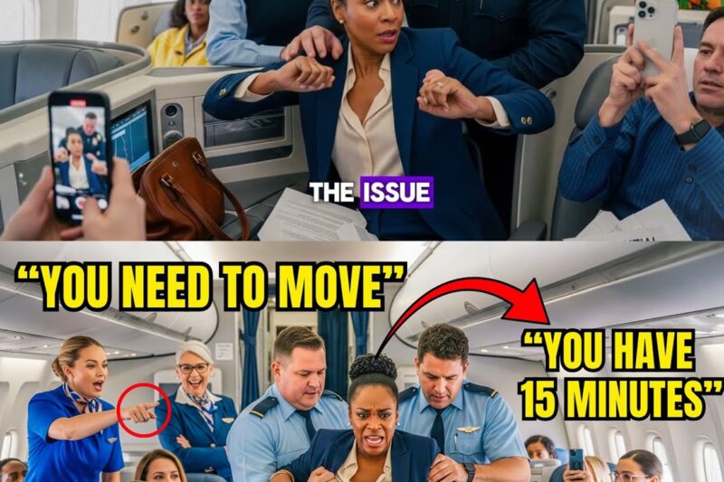 Security Drags Black Woman Off Plane — Minutes Later, She Cancels $1B Airline Deal!