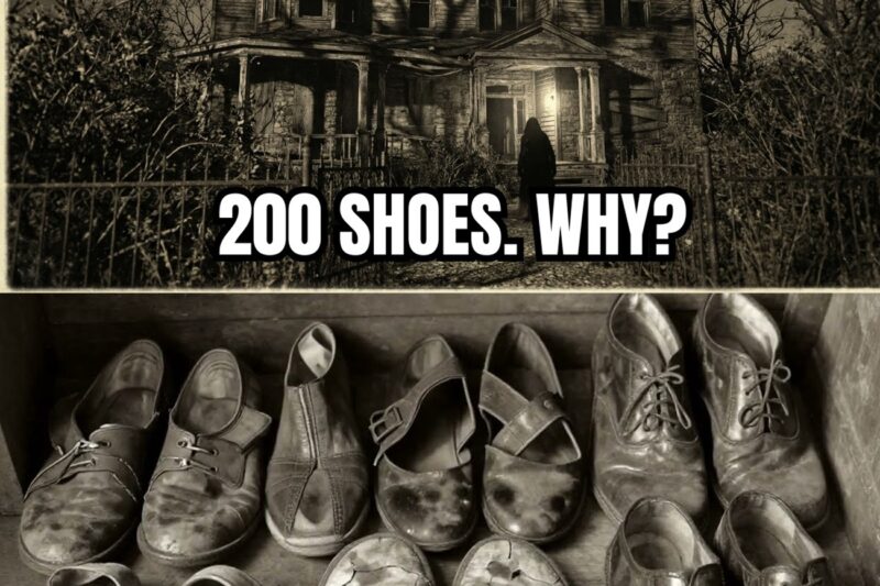 (1888, Missouri) No One Asked Why the Family Owned 200 Shoes — They Had 3 Children