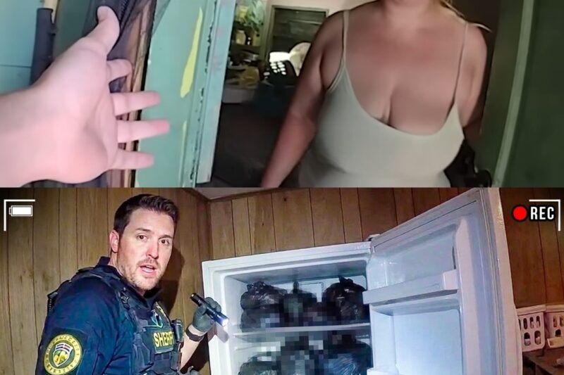Cops Discover Evil Mother’s Freezer Filled with 24 Bodies