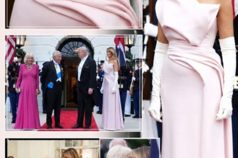 STYLE SHOWDOWN! Melania Trump STUNS in PALE PINK — MATCHES Queen Camilla in HEAD-TURNING Moment – This wasn’t just fashion…