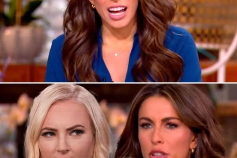 MEGHAN MCCAIN RIPS THE VIEW SUCCESSOR ALYSSA FARAH GRIFFIN AS “NOT A REAL CONSERVATIVE”—THEN ALYSSA FIRES BACK WITH 8 WORDS THAT LEFT HER SPEECHLESS