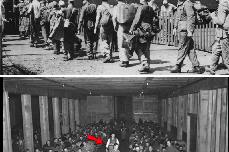 The Ultimate Weapon Was Humanity: How America’s Shocking Treatment of German POWs Destroyed Nazi Ideology